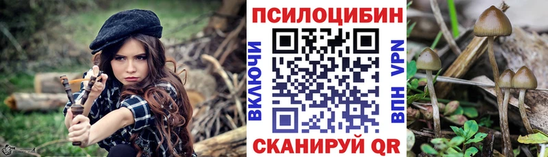 Галлюциногенные грибы мухоморы Приморск